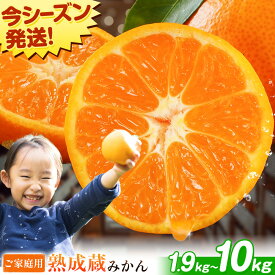 【ふるさと納税】★最短翌営業日★ 熟成みかん 選べる容量(1.9kg-10kg) 《1月上旬-3月上旬頃出荷》徳島県 佐那河内村産 蜜柑 ミカン 柑橘 家庭用 フルーツ 産地直送 甘い 濃厚 蔵出し 大容量 箱買い くだもの 冬の味覚 数量限定 まだある 訳あり ご家庭