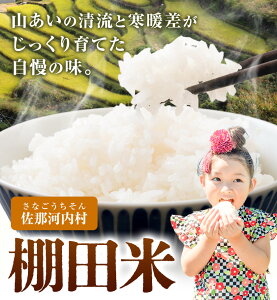 yӂ邳Ɣ[ŁzƊgޑ́uIcāv 5kg 10kgs11{-12蔭t ߉͓ Ic  