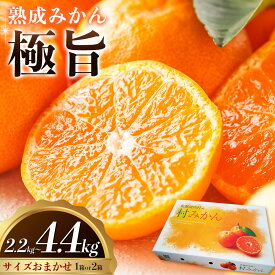 【ふるさと納税】＜先行予約＞ 熟成みかん『極旨』1箱or2箱 廣畠農園《2月初旬-2月末頃出荷予定》徳島県 佐那河内村 みかん ミカン 蜜柑 柑橘 箱入り 化粧箱 フルーツ 果物 くだもの 贈答 【配送不可地域あり】※離島