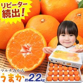 【ふるさと納税】丹精込めて育てました！マルチみかん「うまか」 1箱 2.2kg または 2箱 4.4kg 《11月中旬-12月末頃に出荷予定(土日祝除く)》【配送不可地域あり】※離島 広畠農園 みかん ミカン 蜜柑 早生 柑橘 佐那河内 徳島県 箱入り 化粧箱 S M L フルーツ 果物 くだもの