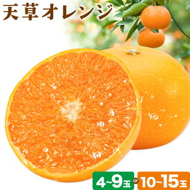 【ふるさと納税】ハウス追熟 天草オレンジ 選べる内容量 4玉～9玉入 10玉～15玉入 廣畠農園《1月中旬頃出荷予定》徳島県 佐那河内村 みかん ミカン 蜜柑 柑橘 フルーツ 果物 くだもの【配送不可地域あり】※離島