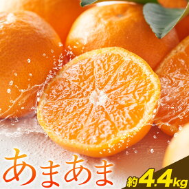 【ふるさと納税】雨よけ完熟みかん「あまあま」選べる内容量 約2.2kg 約4.4kg 約5kg《12月下旬-1月中旬》徳島県 佐那河内村 みかん ミカン 蜜柑 柑橘 箱入り 化粧箱 フルーツ 果物 くだもの 贈答【配送不可地域あり】※離島不可