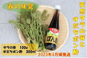 記事番号:33138/アイテムID:363202の画像