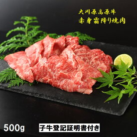 【ふるさと納税】大川原高原牛 赤身・霜降り焼肉用500g
