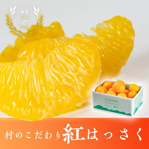 yӂ邳Ɣ[Łẑ@g͂@7kg @2026N1甭@s