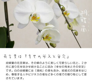 返礼品画像