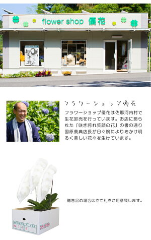 返礼品画像