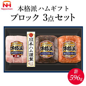 yӂ邳Ɣ[Łz010-110@{ihnMtg ubN 3_Zbg b {n zCg[Xn pXg~[t ~[g[t ؓ  Mtg  Ε  BBQ ւ̔zs 