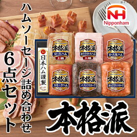 【ふるさと納税】015-106 本格派ハムギフト 6点セット ｜ 日本ハム ハム 生ハム ミートローフ パストラミ ソーセージ ウインナー 豚肉 贈答 ギフト 中元 歳暮 おせち BBQ ※離島への配送不可 ※2025年11月下旬～12月下旬頃に順次発送予定