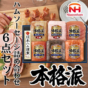 【ふるさと納税】015-106 本格派ハムギフト 6点セット | 日本ハム ハム 生ハム ミートローフ パストラミ ソーセージ ウインナー 豚肉 贈答 ギフト 中元 歳暮 おせち BBQ ※離島への配送不可 ※2