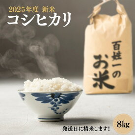 【ふるさと納税】023-002　石井町産コシヒカリ8kg