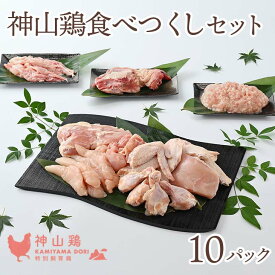 【ふるさと納税】017-002 神山鶏 食べつくしセット