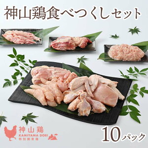 【ふるさと納税】018-008 神山鶏 食べつくしセット