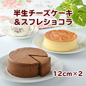 【ふるさと納税】010-056　半生チーズケーキ＆スフレショコラ
