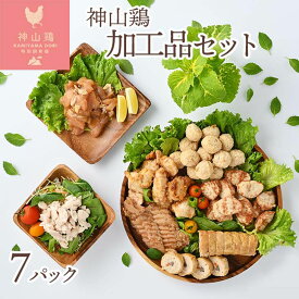 【ふるさと納税】014-011 徳島県産・神山鶏 加工品 セット