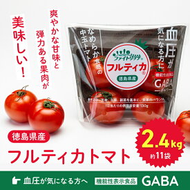【ふるさと納税】009-102　ファイトリッチ「フルティカ」2.4kg ※2025年12月上旬～2026年6月上旬頃に順次発送予定 ※北海道・沖縄配送不可