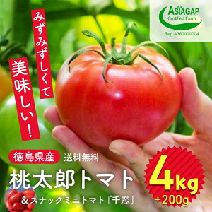 【ふるさと納税】009-101 桃太郎トマト 4kg スナックミニトマト千恋 200g ※2025年11月中旬〜2026年6月上旬頃に順次発送予定 ※北海道・沖縄配送不可