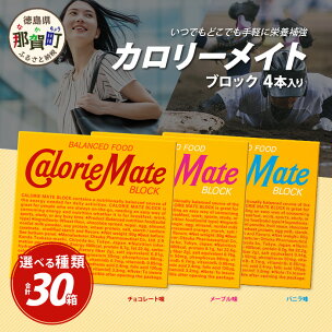 【大塚製薬】カロリーメイト ブロック4本入り×30箱［徳島...