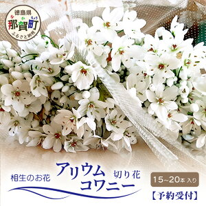 �y�ӂ邳�Ɣ[�Łz�y��s��t�z�y1���`3�������z�A���E���R���j�[ 15�{�`20�{ ������ �߉꒬�Y�y�����̉� ���� ���� �ԑ� ������ �ؓ� ���Y�Ғ��� �v���[���g ���蕨 �t�����[�A�����W�����g 