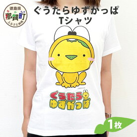 【ふるさと納税】ぐうたらゆずがっぱ Tシャツ 1枚【徳島県 那賀町 ゆずがっぱ かっぱ カッパ 河童 グッズ かわいい シンプル Tシャツ ふく 服 半袖 Lサイズ L 親子 ペア ご当地キャラ】OM-110