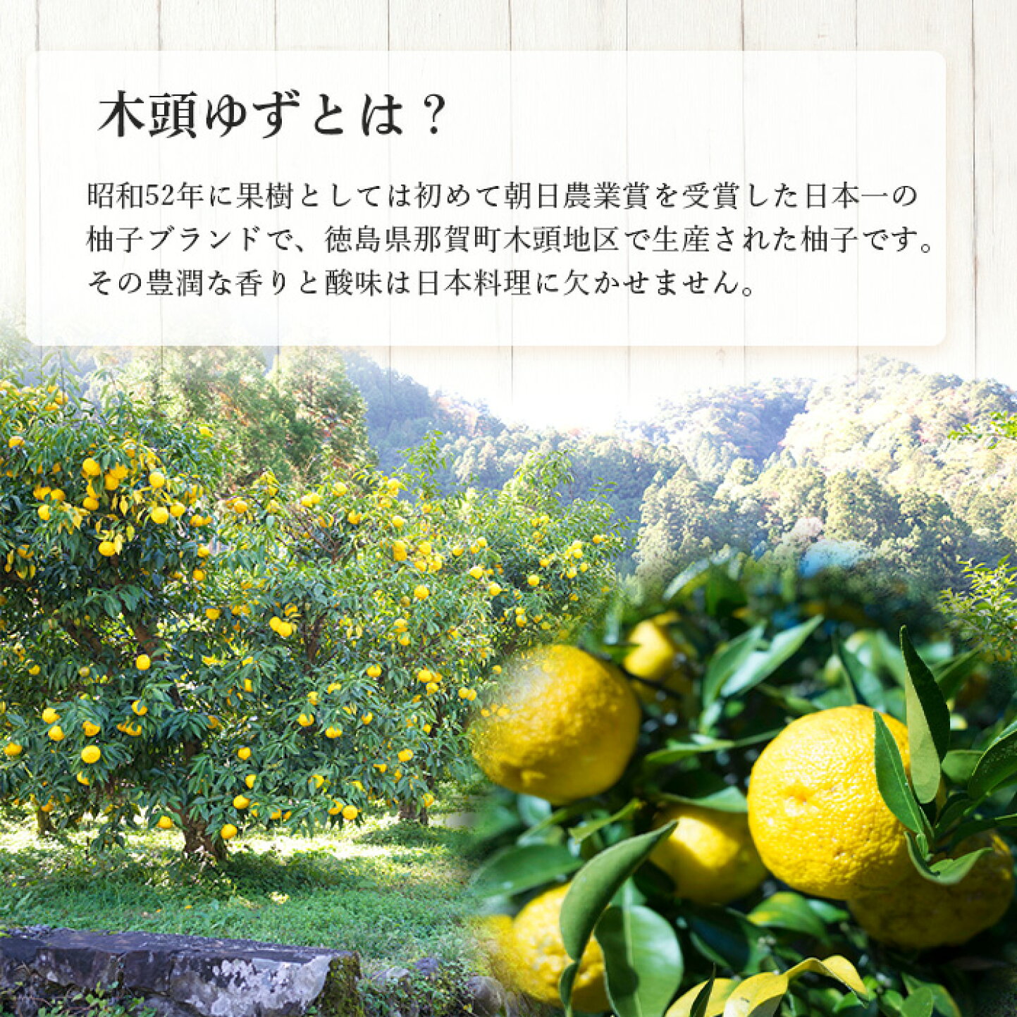 徳島県那賀町 - 世界に誇る 木頭ゆず 特集