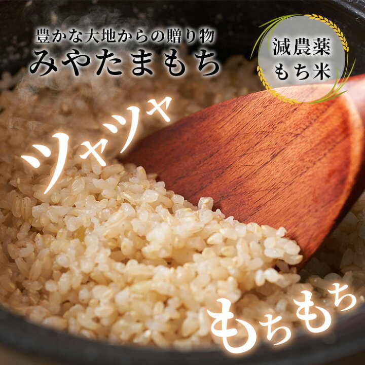 楽天市場】【ふるさと納税】那賀町相生産 みやたまもち 玄米 5kg 1袋 