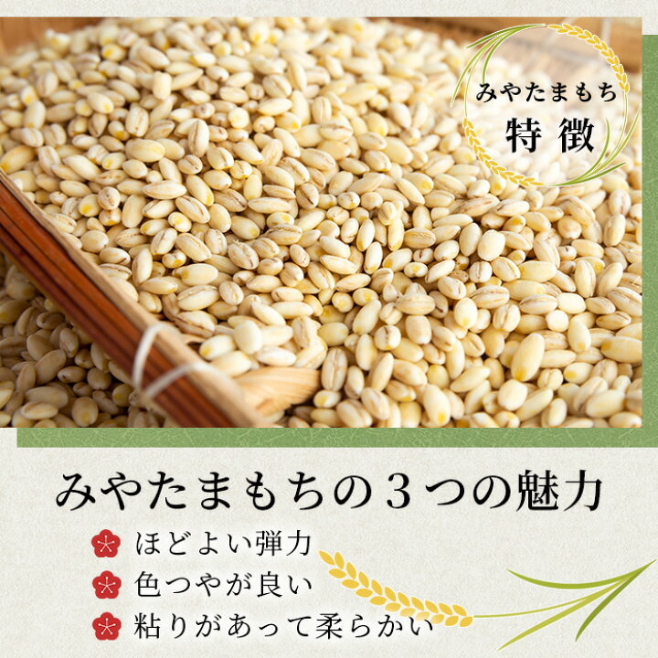 楽天市場】【ふるさと納税】那賀町相生産 みやたまもち 玄米 5kg 1袋 