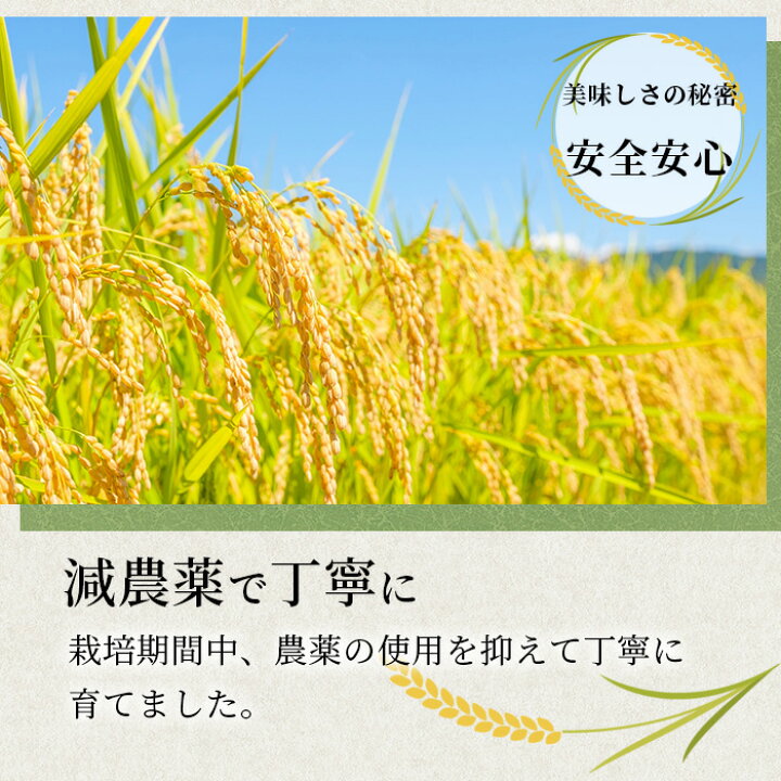 みやたまもち玄米25㎏