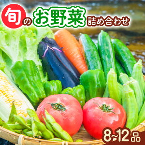 yӂ邳Ɣ[Łz  Zbg G߂̖ 8`12i e Yn  VN