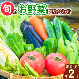 【ふるさと納税】 【定期便年2回】阿波の国海陽町 旬のお野菜詰め合わせセット 8～12品×2回 野菜 定期便 野菜定期便 年2回 徳島県 海陽町産 野菜セット 詰め合わせ 4-5名様以上 向け 季節の野菜 やさい 産地直送 新鮮 採れたて お試し