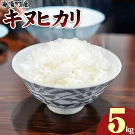 【ふるさと納税】 海陽町産 キヌヒカリ 5kg きぬひかり 米 お米