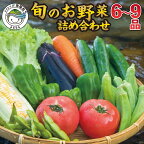  野菜 セット 季節の野菜 6〜9品 産地直送 新鮮 採れたて 新鮮 お試し