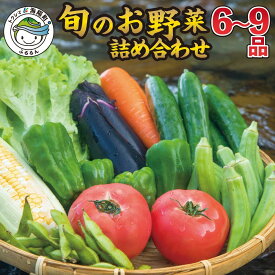 【ふるさと納税】 野菜 セット 季節の野菜 6〜9品 産地直送 新鮮 採れたて 新鮮 お試し