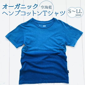 【ふるさと納税】 シャツ Tシャツ 藍染 男女兼用 オーガニック ヘンプ コットン 藍 藍染め 海 空 水平線 ラッピング プレゼント