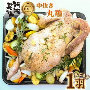 yӂ邳Ɣ[Łz { ی{ n{ g{ ۂƈH  Ⓚ Y Y [Xg`L NX}X p[eB[ o[xL[ BBQ AEghA Lv _b`I[u 킨ǂ