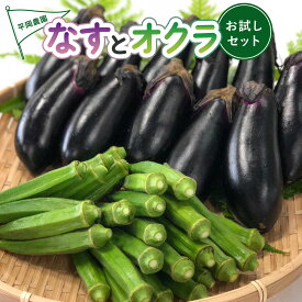 【ふるさと納税】夏野菜 詰め合わせ お試し セット なす おくら 野菜 茄子 ナス オクラ 産地直送 天敵栽培 【2026年7月以降順次発送】