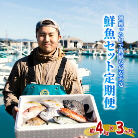 【ふるさと納税】 定期便全3回 産地直送！ 海陽町より旬の魚をお届け！ 鮮魚セット 中セット 約4kg×3ヶ月連続 詰め合わせ