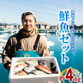 【ふるさと納税】産地直送！ 海陽町より旬の魚をお届け！ 鮮魚セット 中セット 約4kg 詰め合わせ 鮮魚 海 海の幸 朝獲れ とれとれ 新鮮