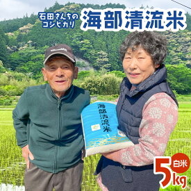 【ふるさと納税】 米 コシヒカリ 白米 5kg 海部清流米 海部川 清流
