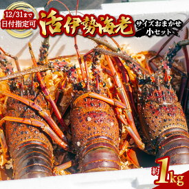 【ふるさと納税】 期間限定 大容量 伊勢海老 贅沢 約1kg サイズおまかせ 伊勢えび いせえび イセエビ 海老 えび エビ 海鮮