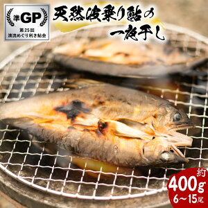 yӂ邳Ɣ[ŁzVRg舼̈銱 400g 6`15  銱  VR n  A VR  C 싛 ȒP Ⓚ