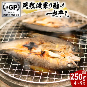 yӂ邳Ɣ[ŁzVRg舼̈銱 250g 4`9  銱  VR n  A VR  C 싛 ȒP Ⓚ