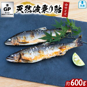 yӂ邳Ɣ[ŁzVRg舼 600g TCY 16`20cm 8`12  VR 600g  A VR  C 싛 Ⓚ