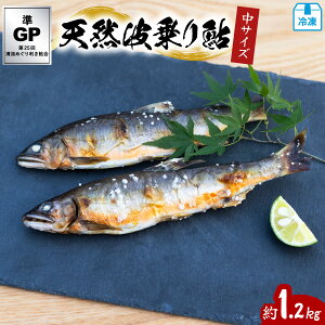 yӂ邳Ɣ[ŁzVRg舼 1.2kg TCY 16`20cm 16`24  VR 1.2kg  A VR  C 싛 Ⓚ