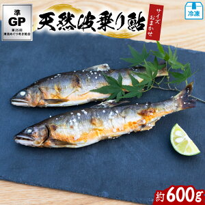 yӂ邳Ɣ[ŁzVRg舼 600g TCY܂ 4`12  VR 600g  A VR  C 싛 Ⓚ