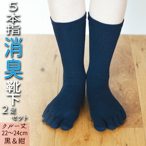 yӂ邳Ɣ[Łz ܖ{w C 2 L \bNX Zbg N[ 22`24cm wlTCY  fB[X wl