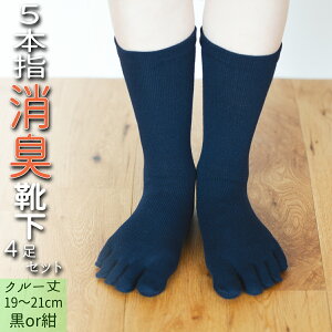 yӂ邳Ɣ[Łz ܖ{w C 4 L \bNX Zbg N[ 19`21cm qTCY  LbY q ǂ