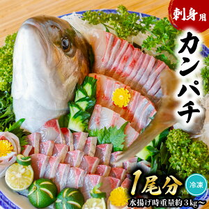 yӂ邳Ɣ[Łz Jp` hgp 1 gd3kgȏ ς  e  {B Ⓚ