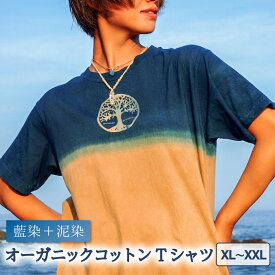 【ふるさと納税】 Tシャツ 藍染 泥染 XL/XXLサイズ オーガニックコットン 藍 藍染め 泥染め 宍喰祇園染 天然染料