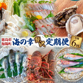 【ふるさと納税】【定期便全6回】海陽町の『海の幸』贅沢定期便 クエ クエ鍋 牡蠣 アマダイ シマアジ アオリイカ 伊勢海老